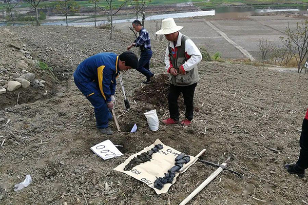 取土壤 /cxyq/20210525104957-FgbI9rpHniGLOS2bPofBmHbO6a9I.jpg